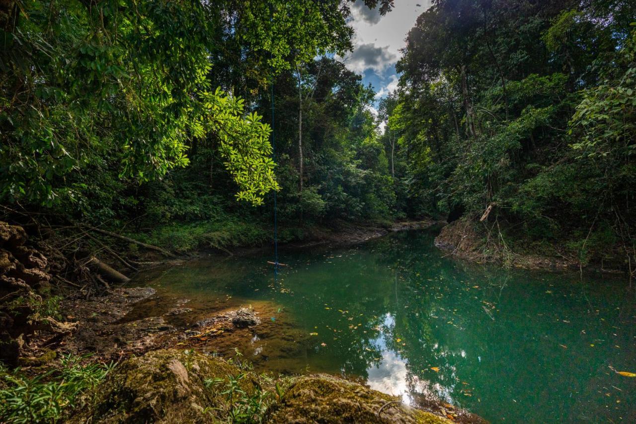 Drake Bay River View ภายนอก รูปภาพ