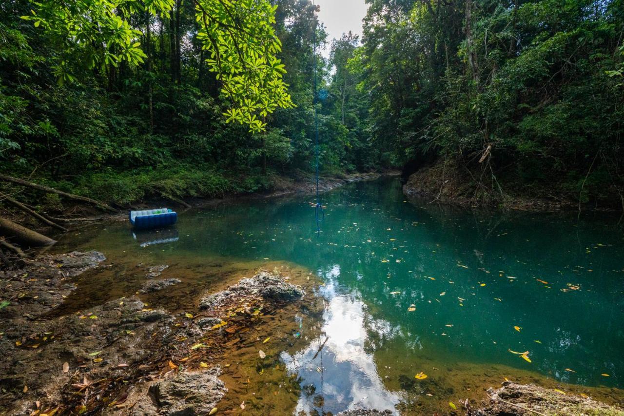 Drake Bay River View ภายนอก รูปภาพ