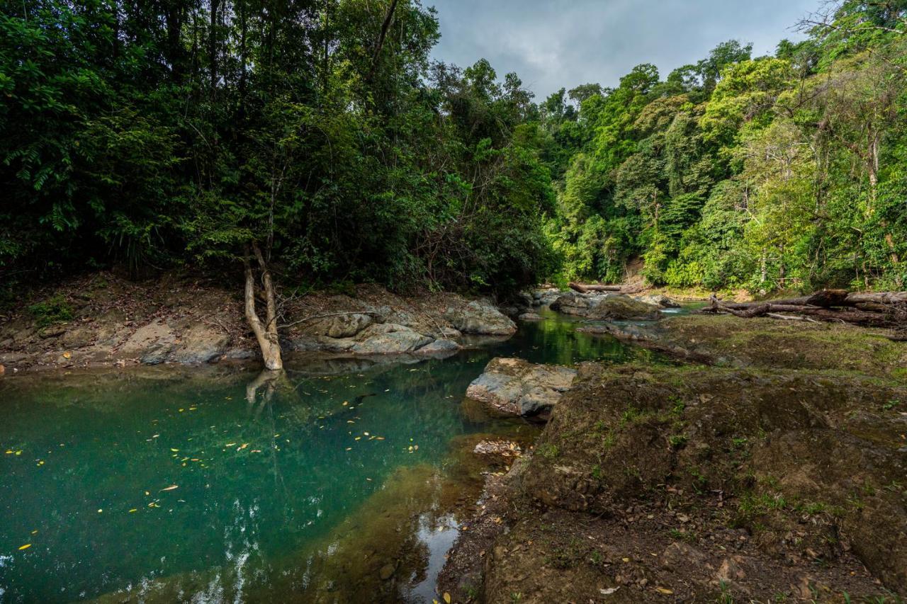 Drake Bay River View ภายนอก รูปภาพ