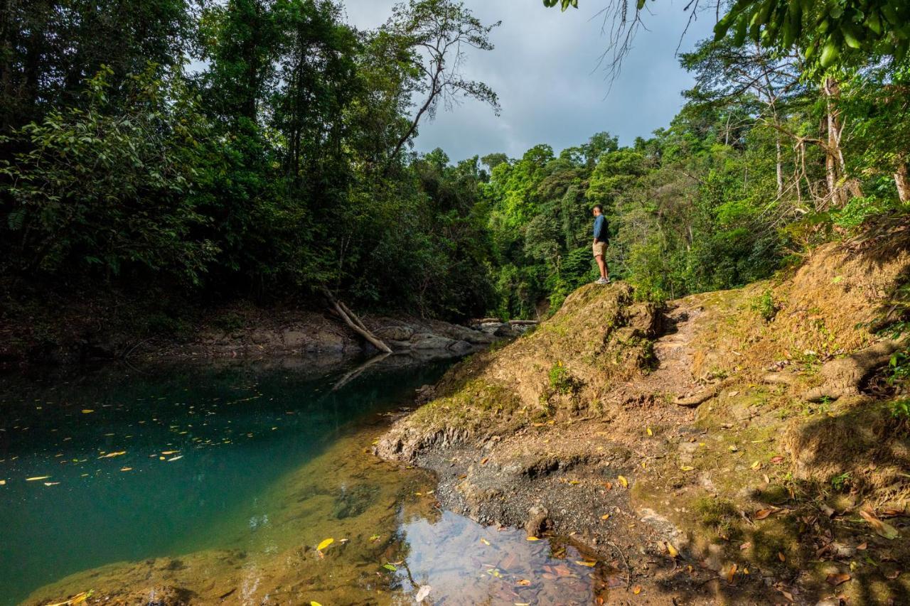 Drake Bay River View ภายนอก รูปภาพ