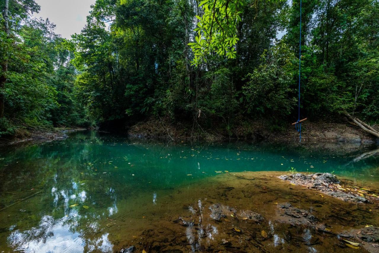 Drake Bay River View ภายนอก รูปภาพ