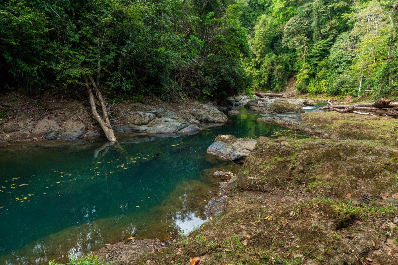 Drake Bay River View ภายนอก รูปภาพ