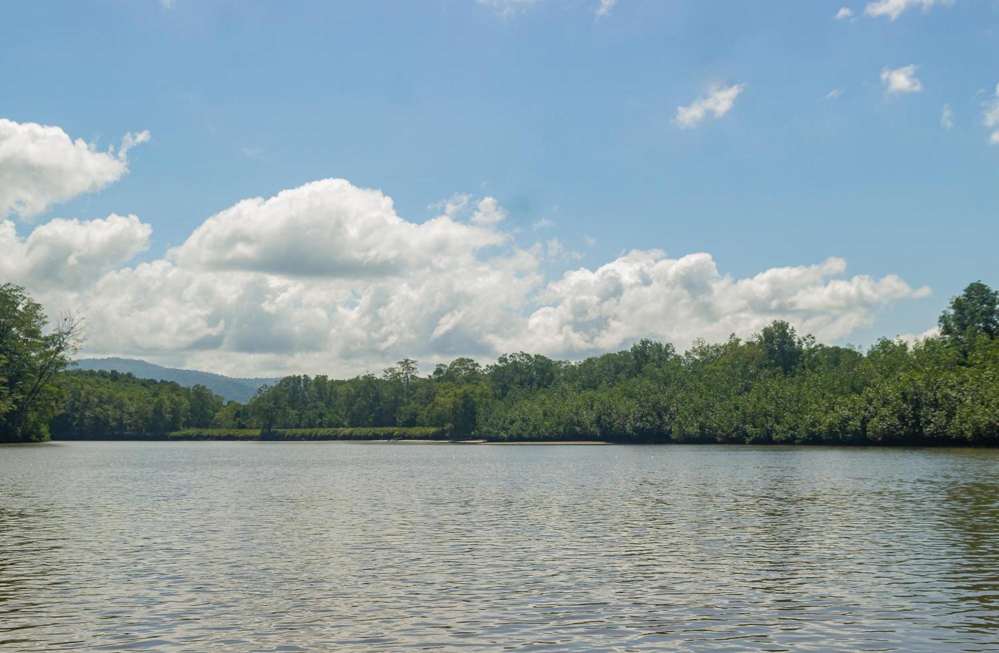 Drake Bay River View ภายนอก รูปภาพ