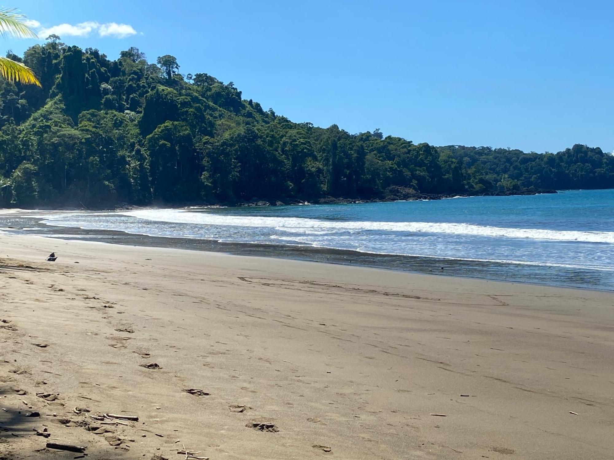 Drake Bay River View ภายนอก รูปภาพ