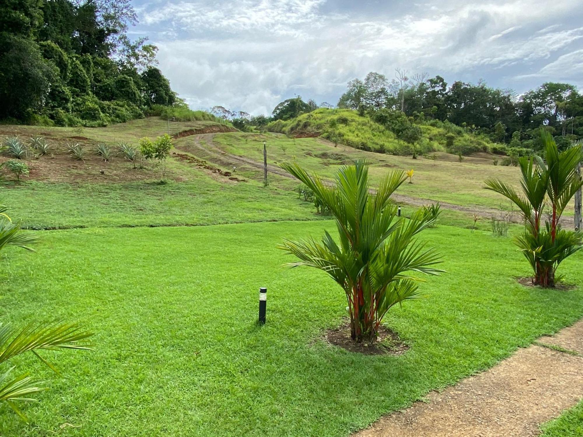Drake Bay River View ภายนอก รูปภาพ